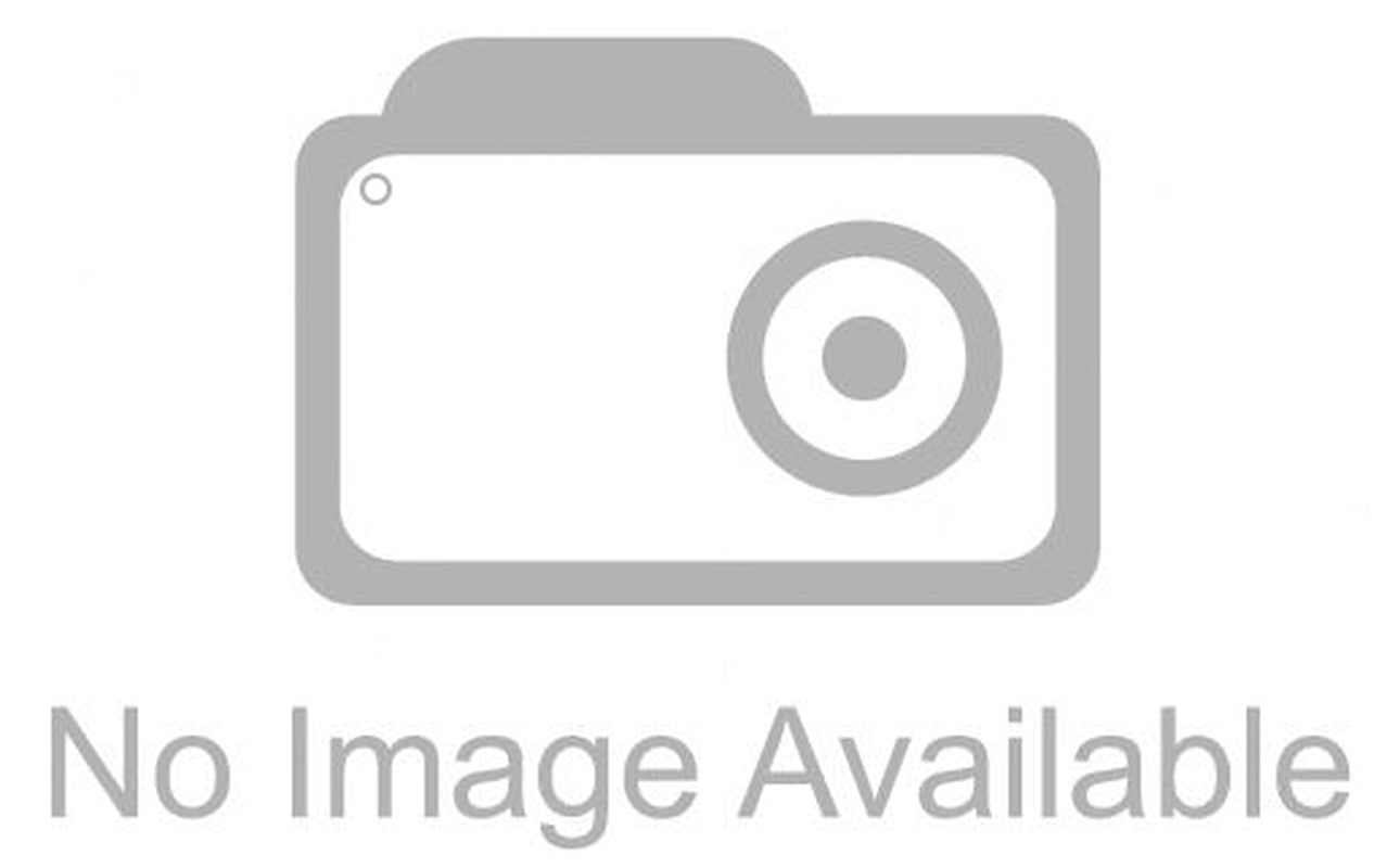Objects Shalimar Parfum by Juan Carlos Arbex - Single Picture Frame Painting